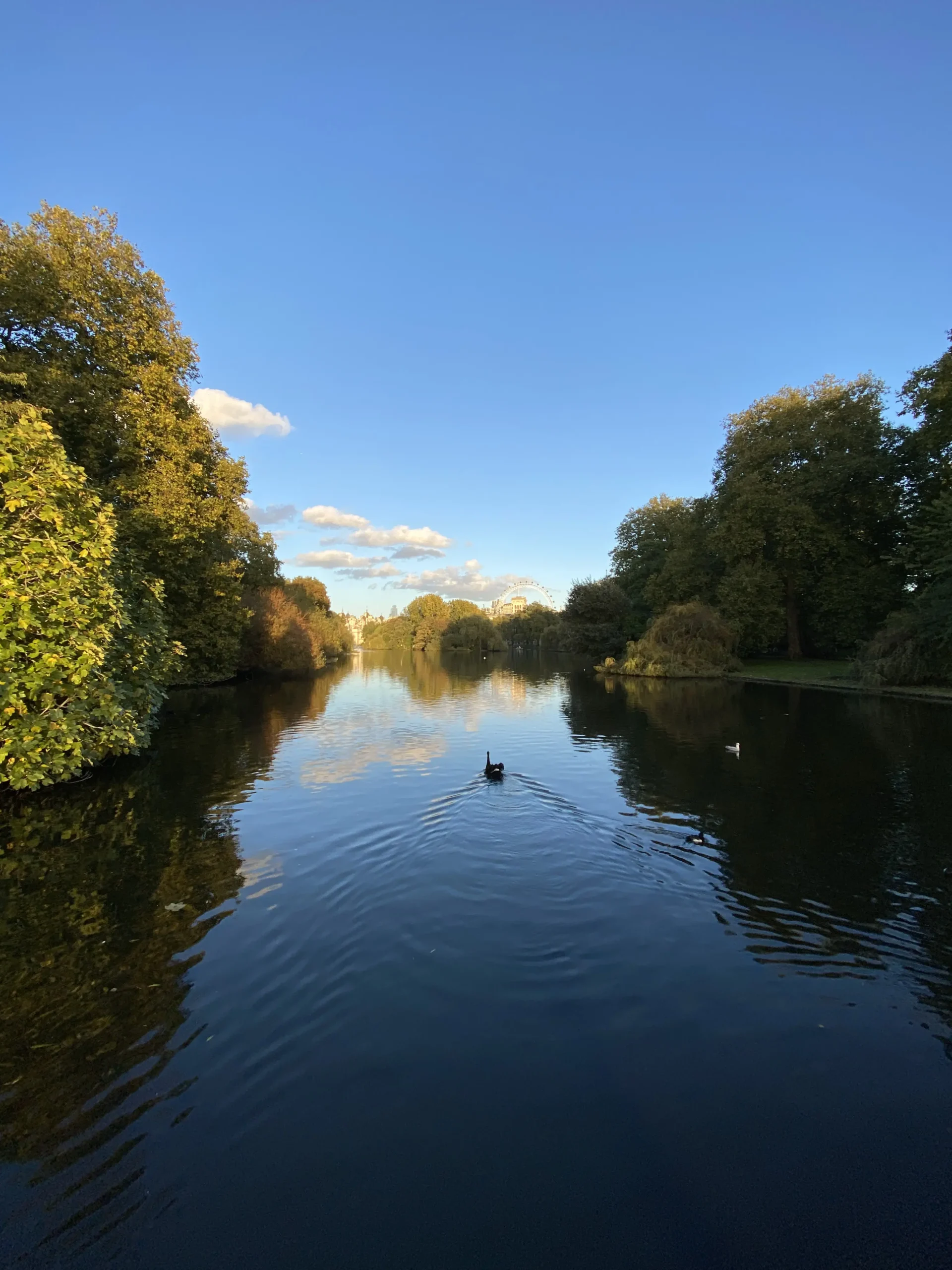 Everyday Difficulties: When Everyday Life Becomes Too Much